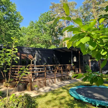 Heerlijk In Het Bos Op Chaletpark Kempenbos Chalet Diessen