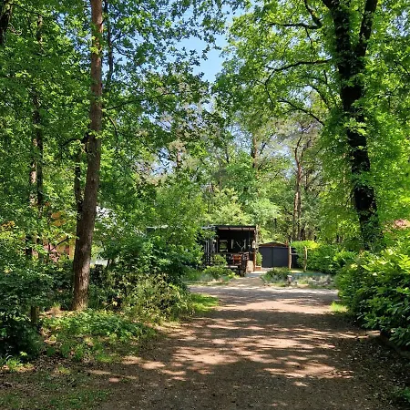 Heerlijk In Het Bos Op Chaletpark Kempenbos Dağ evi Diessen