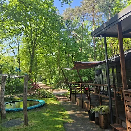 Heerlijk In Het Bos Op Chaletpark Kempenbos Alpehytte