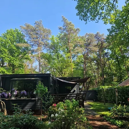 Alpehytte Heerlijk In Het Bos Op Chaletpark Kempenbos *