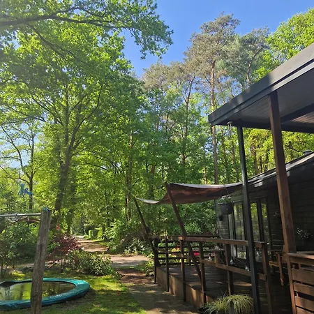 Heerlijk In Het Bos Op Chaletpark Kempenbos Diessen