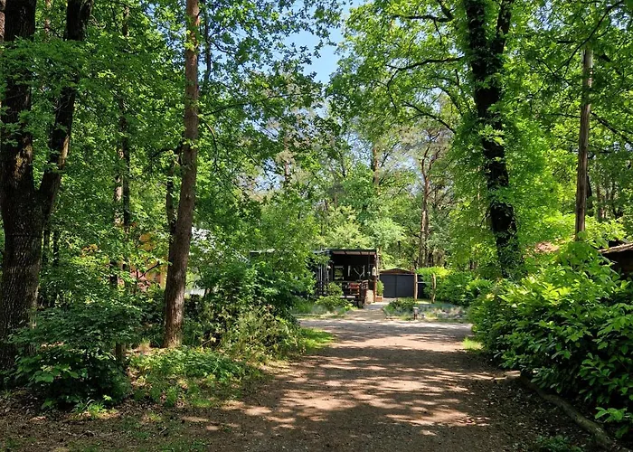 Heerlijk In Het Bos Op Chaletpark Kempenbos Alpstuga Diessen