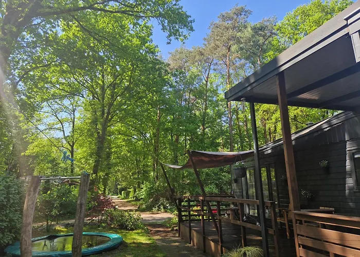 Heerlijk In Het Bos Op Chaletpark Kempenbos Diessen